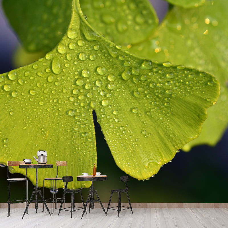 Ginkgo Biloba Mural Wallpaper Contemporary Wall Covering for Sitting Room