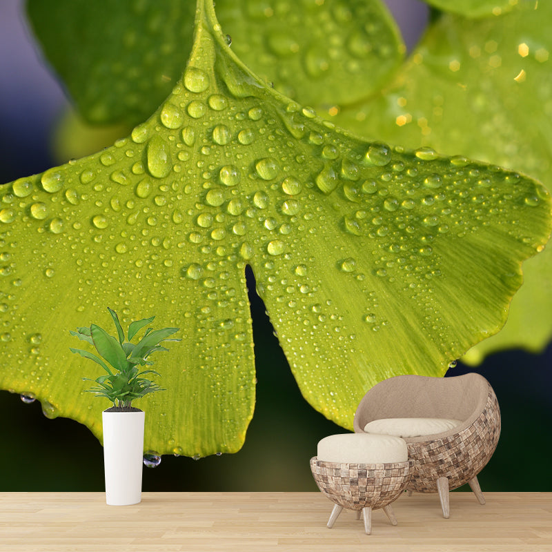 Ginkgo Biloba Mural Wallpaper Contemporary Wall Covering for Sitting Room