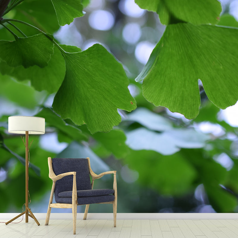 Ginkgo Biloba Mural Wallpaper Contemporary Wall Covering for Sitting Room
