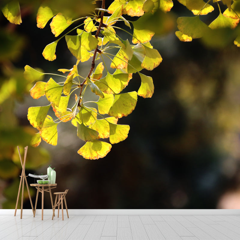 Ginkgo Biloba Mural Wallpaper Contemporary Wall Covering for Sitting Room