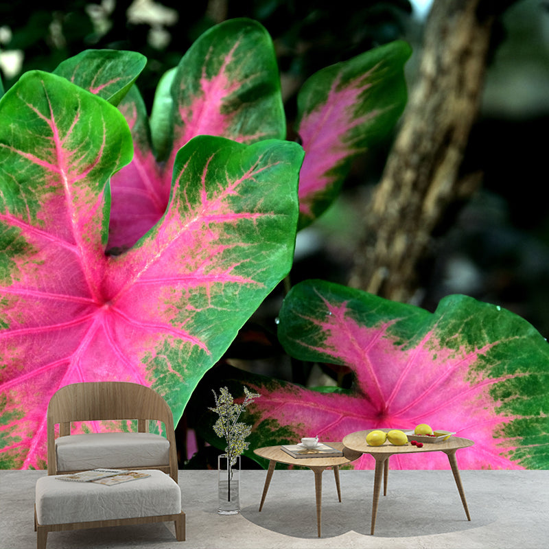 Green Caladium Mural Decal Moisture Resistant for Reading Room, Made to Measure