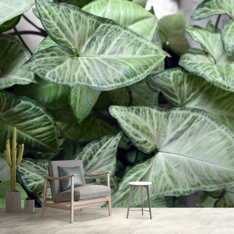 Green Caladium Mural Decal Moisture Resistant for Reading Room, Made to Measure
