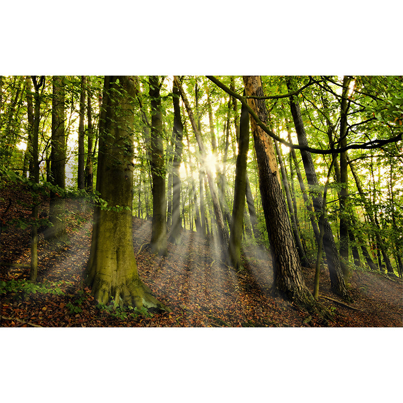 Modern Forest Scenery Mural for Sitting Room Home Decoration, Moisture-Resistant