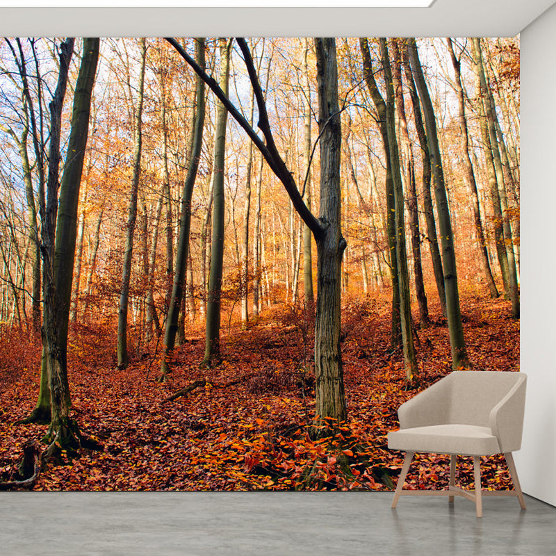 Forest Scenery Wall Mural for Sitting Room Minimalist Decoration, Stain Resistant