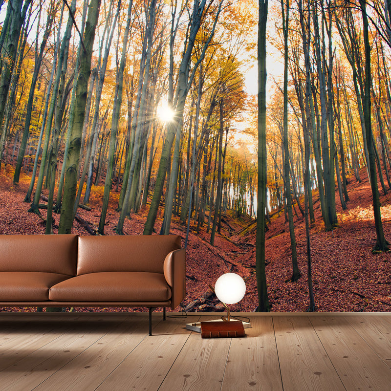Forest Scenery Wall Mural for Sitting Room Minimalist Decoration, Stain Resistant