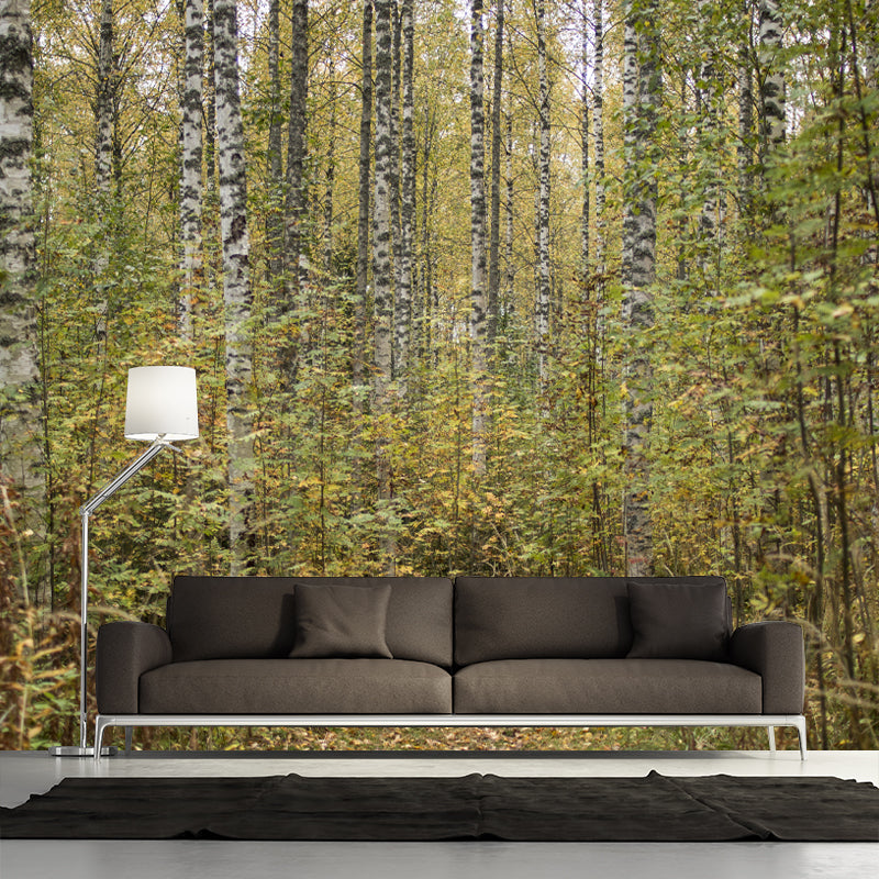 Forest Scenery Wall Mural for Sitting Room Minimalist Decoration, Stain Resistant