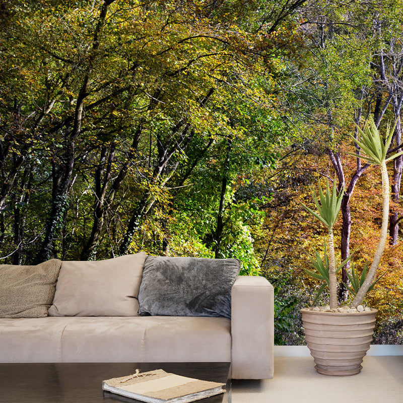 Forest Scenery Wall Mural for Sitting Room Minimalist Decoration, Stain Resistant