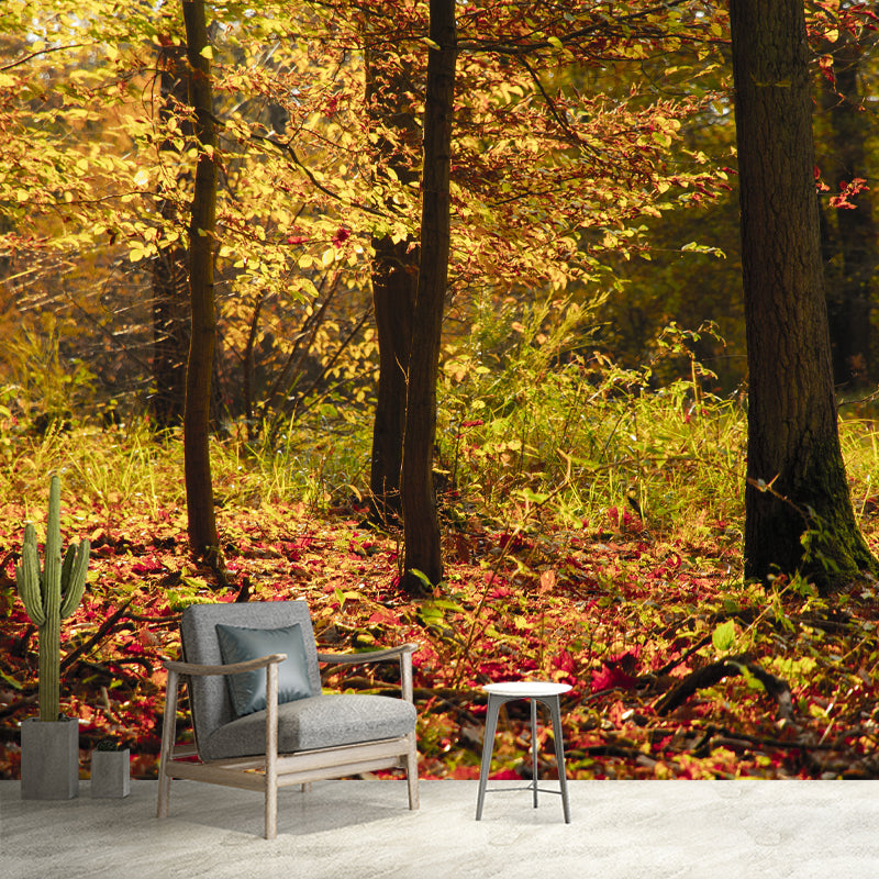 Forest Scenery Wall Mural for Living Room Bedroom Decoration, Made to Measure