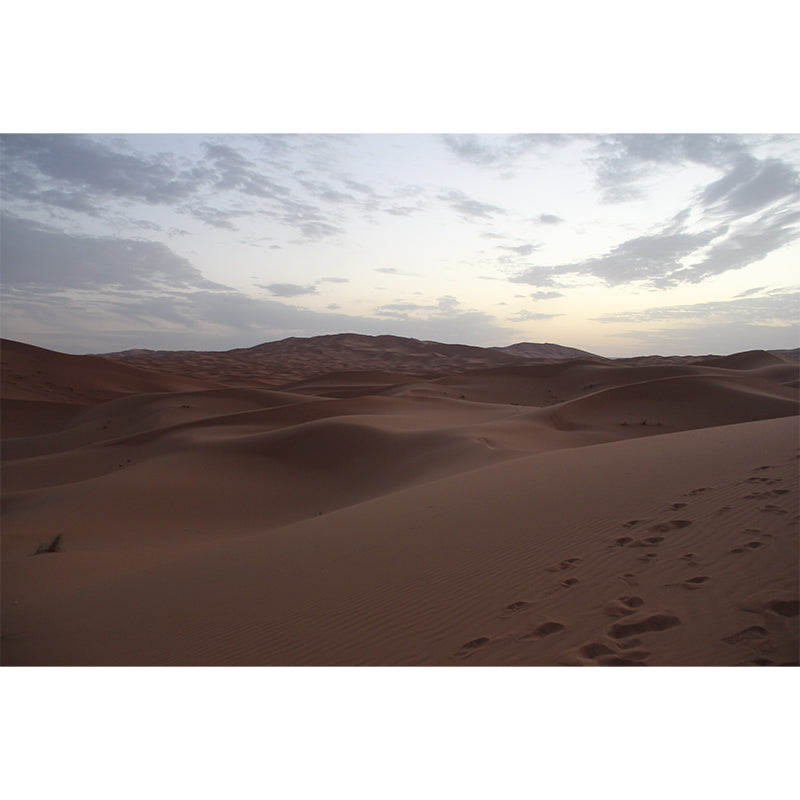 Arid Desert Landscape Mural for Living Room Decoration, Made to Measure