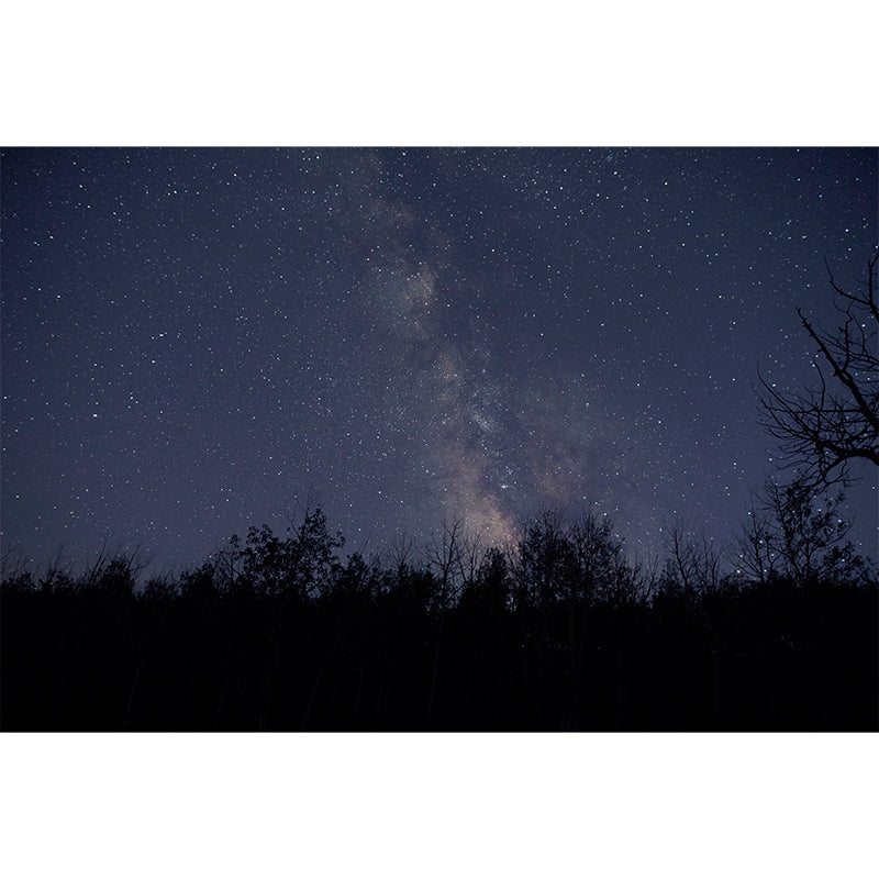 Universe Photo Wall Mural for Sleeping Room Gust Room Water Resistant, Custom Size Available