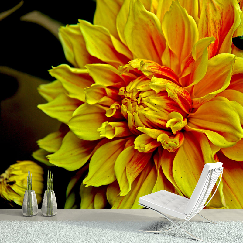 Dahlia Wall Covering for Accent Wall Water Resistant Mural, Custom Size Available