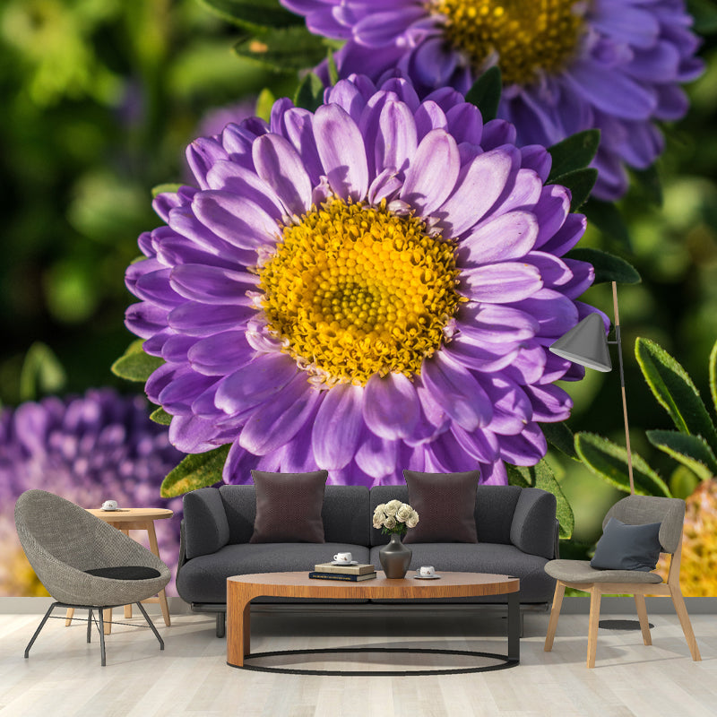 Dahlia Wall Covering for Accent Wall Water Resistant Mural, Custom Size Available