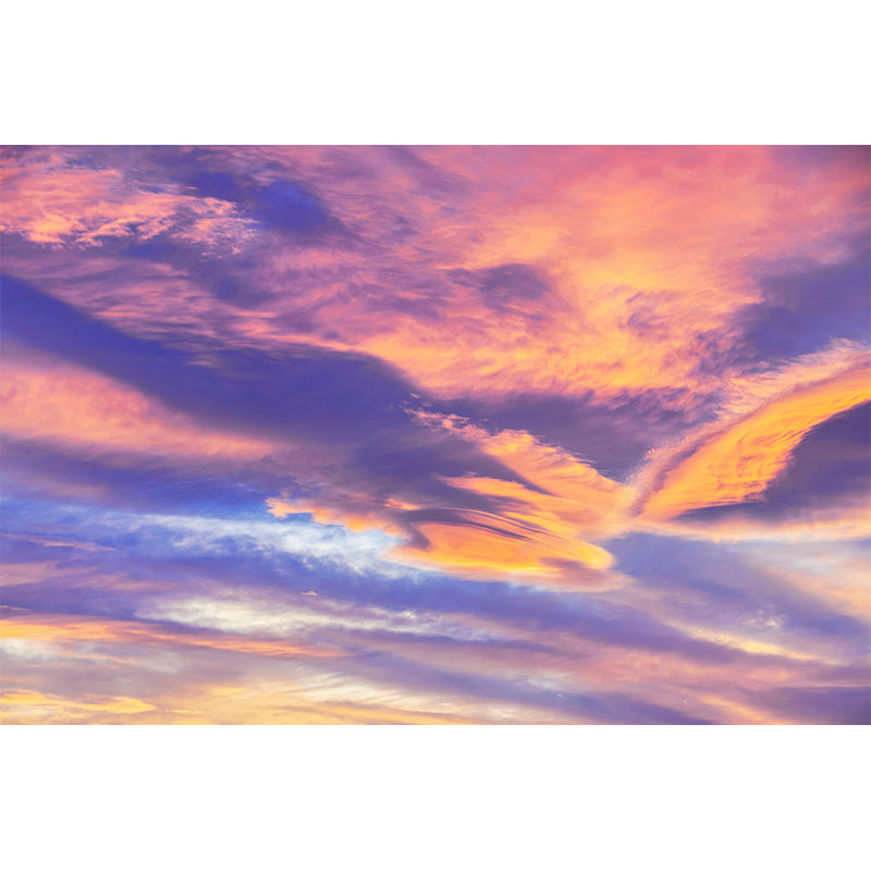 Mildew Resistant Beautiful Sky Mural for Sitting Room Decoration