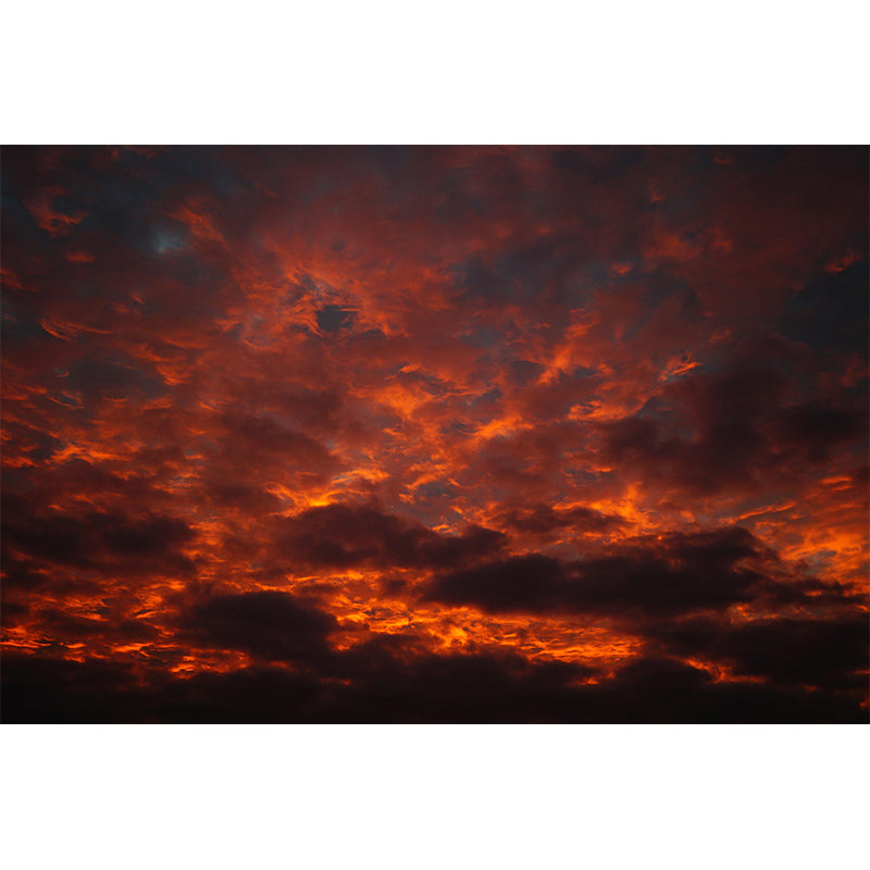 Beautiful Sky Mural Mildew Resistant for Bathroom Decoration