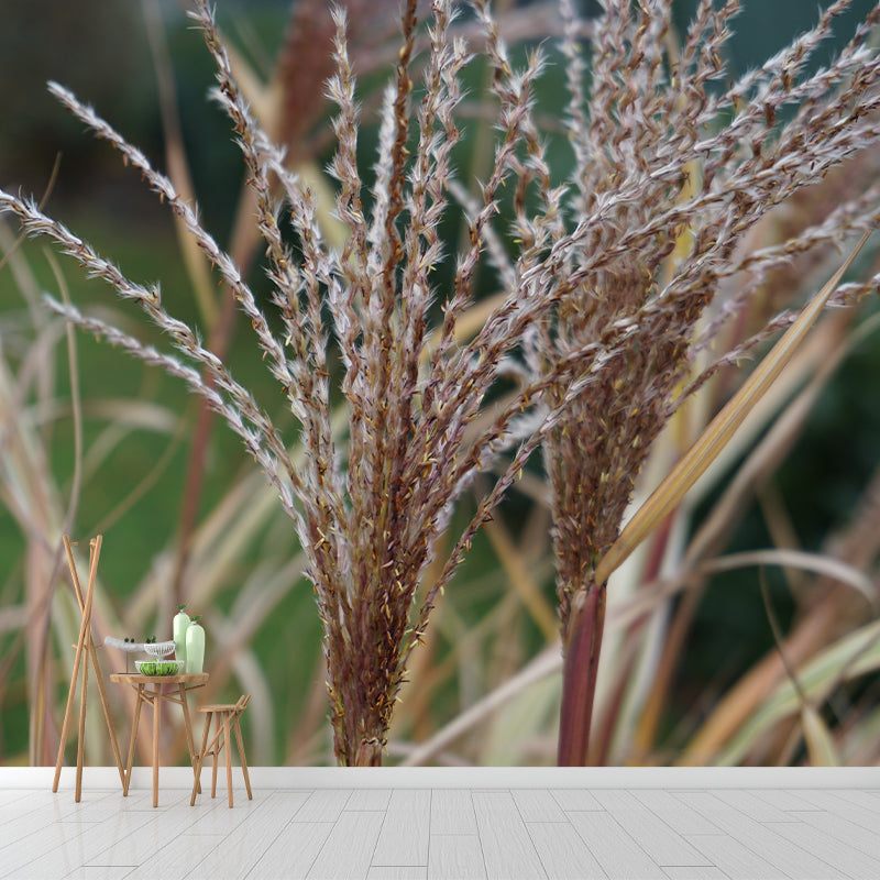 Grass Plant Murals for Bedroom Moisture Resistant, Custom Size Available