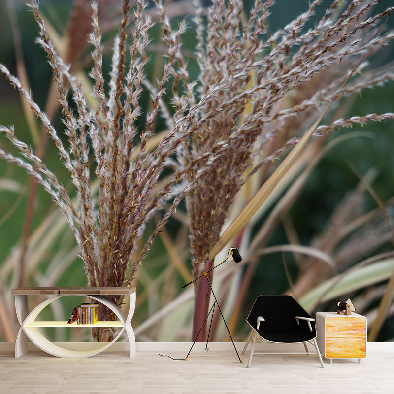 Grass Plant Murals for Bedroom Moisture Resistant, Custom Size Available