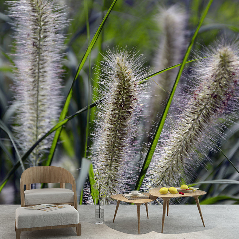 Modern Style Grass Plant Murals Wallpaper for Living Room, Custom Size Available