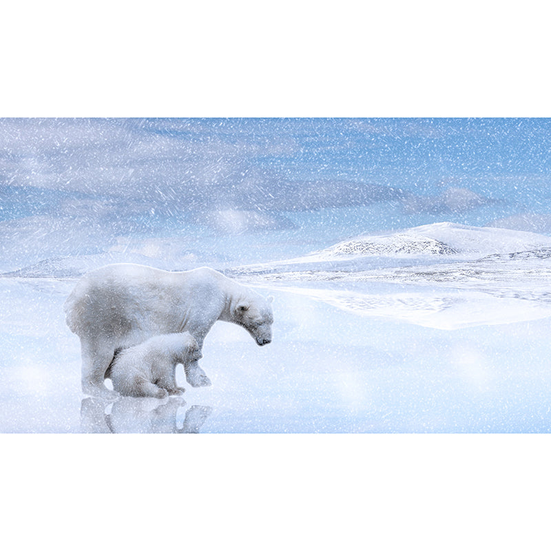 Bear Animal Wall Mural Sitting Room Bedroom Decor, Multiple Sizes Available