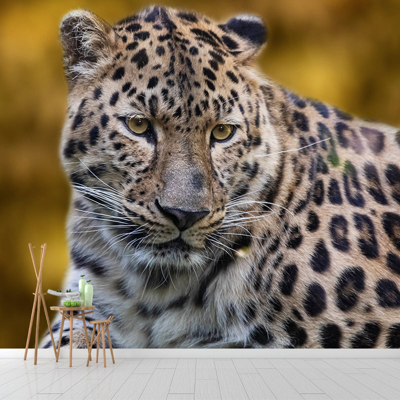 Leopard Mural Wallpaper for Sitting Room Decor Multiple Sizes Available