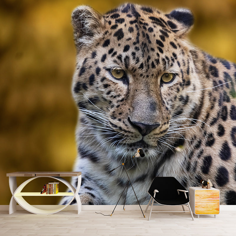 Leopard Mural Wallpaper for Sitting Room Decor Multiple Sizes Available