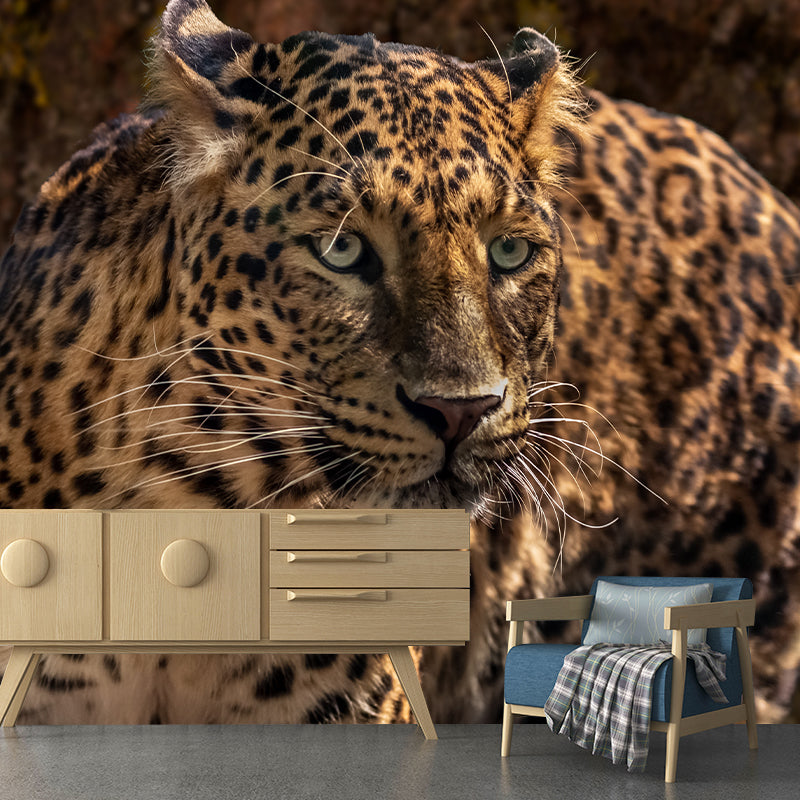 Leopard Mural Wallpaper for Sitting Room Decor Multiple Sizes Available