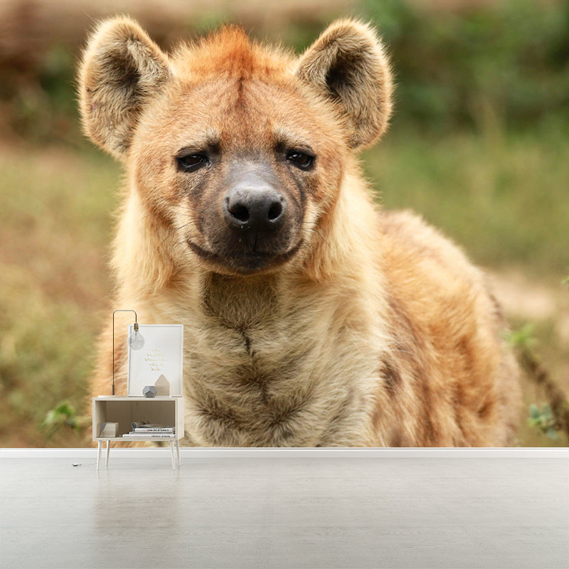 Hyena Mural Wallpaper Living Room Decoration, Personalized Size Available