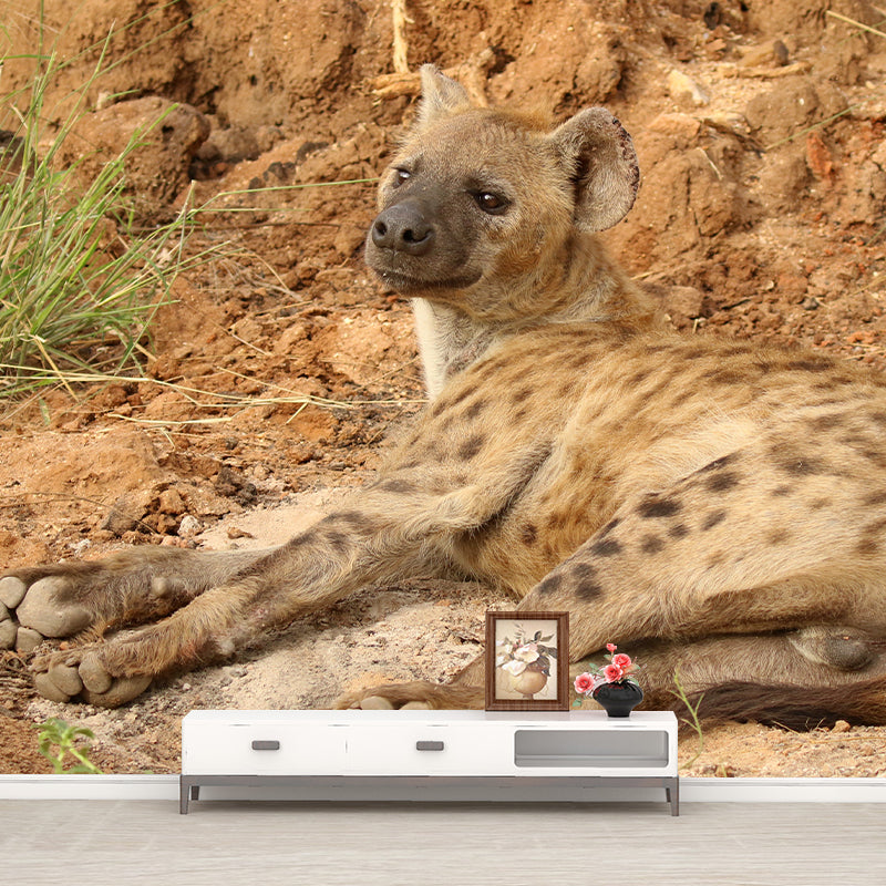 Hyena Mural Wallpaper Living Room Decoration, Personalized Size Available