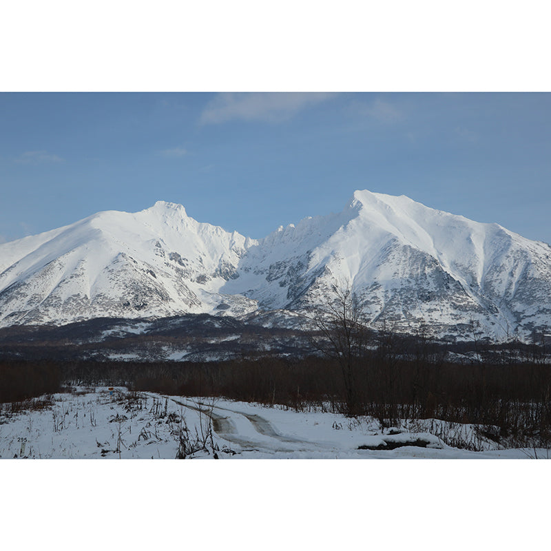 Mountain Landscape Murals Stain-Resistant Wall Covering for Sitting Room