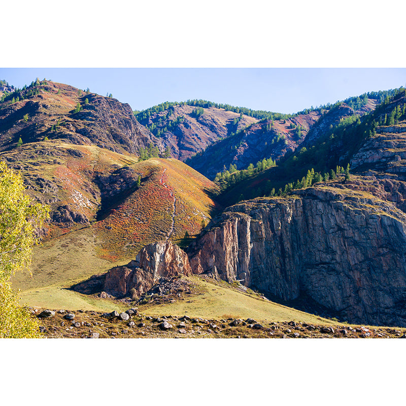 Mountain Landscape Contemporary Stain Resistant Wall Decor for Sleeping Room