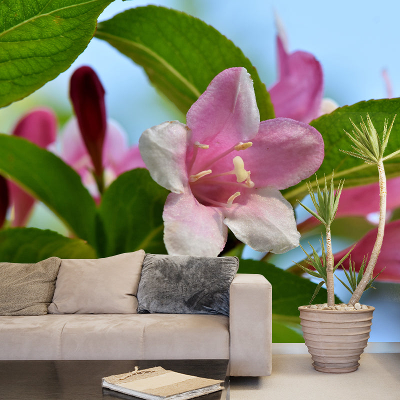 Jasmin Contemporary Style Mural Wallpaper Wall Covering for Living Room Decoration