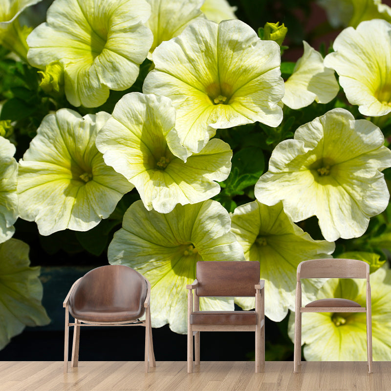 Petunias Contemporary Wall Covering for Living Room Bedroom, Made to Measure