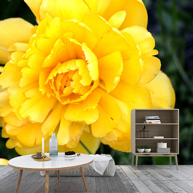 Elegant Peony Flower Mural Environment Friendly Wallpaper for Girl's Bedroom