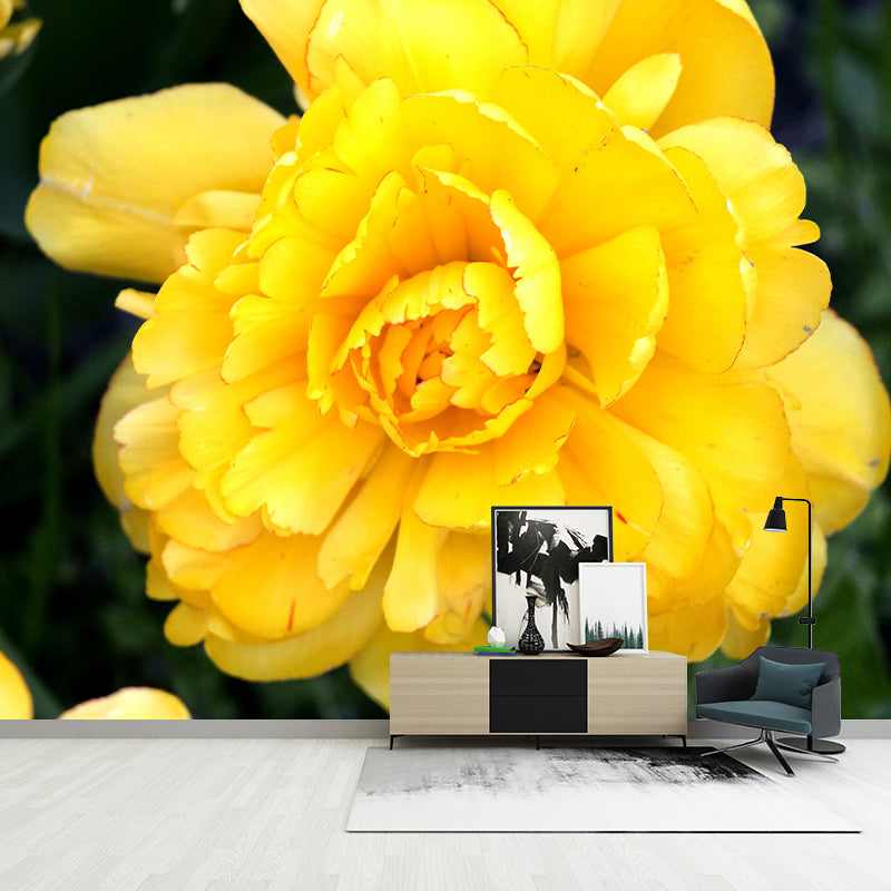 Elegant Peony Flower Mural Environment Friendly Wallpaper for Girl's Bedroom