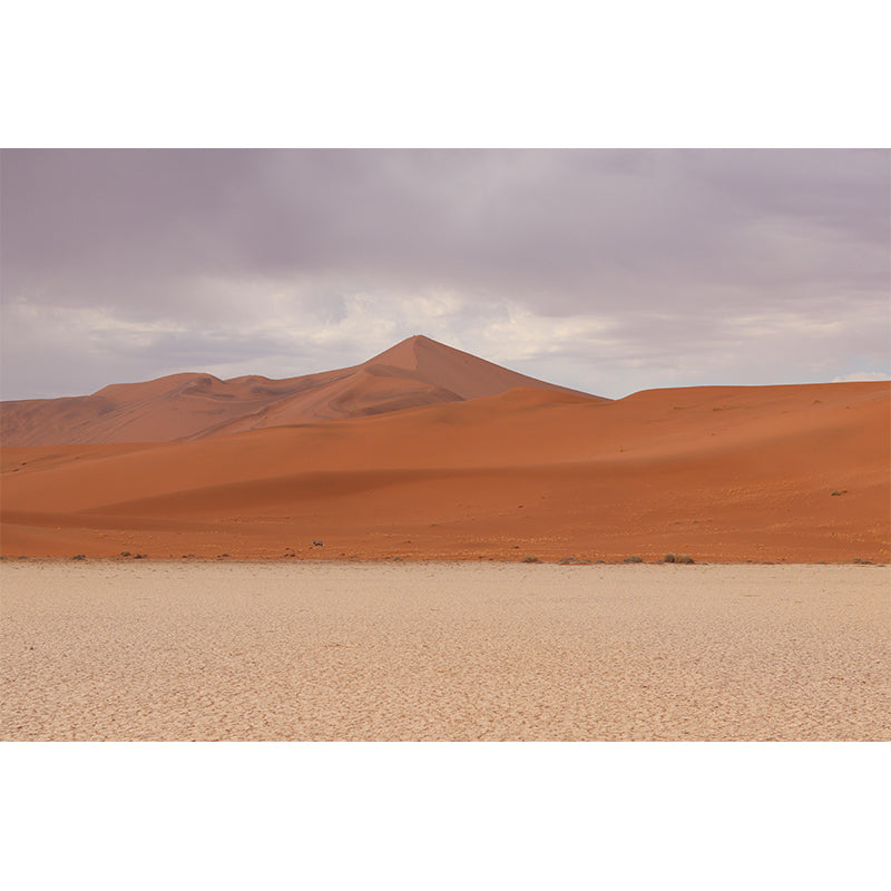 Desert Mural Wallpaper Horizontal Photography Style for Bedroom Decoration