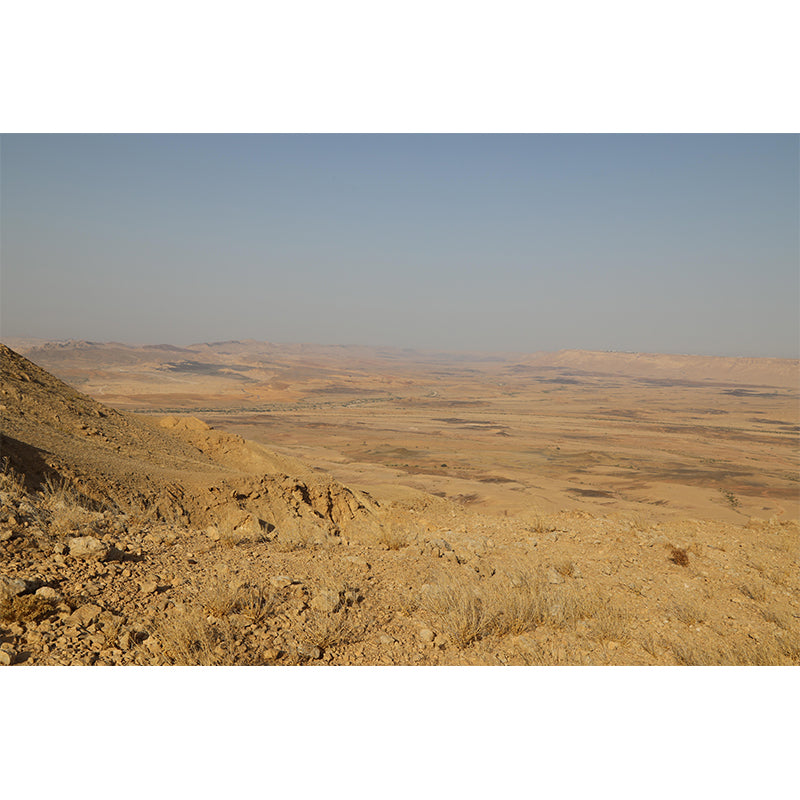 Customized Photography Desert Wall Mural Contemporary for Bathroom Living Room