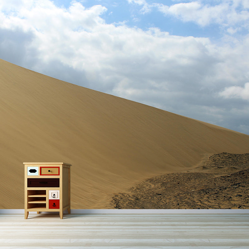 Customized Photography Desert Wall Mural Contemporary for Bathroom Living Room