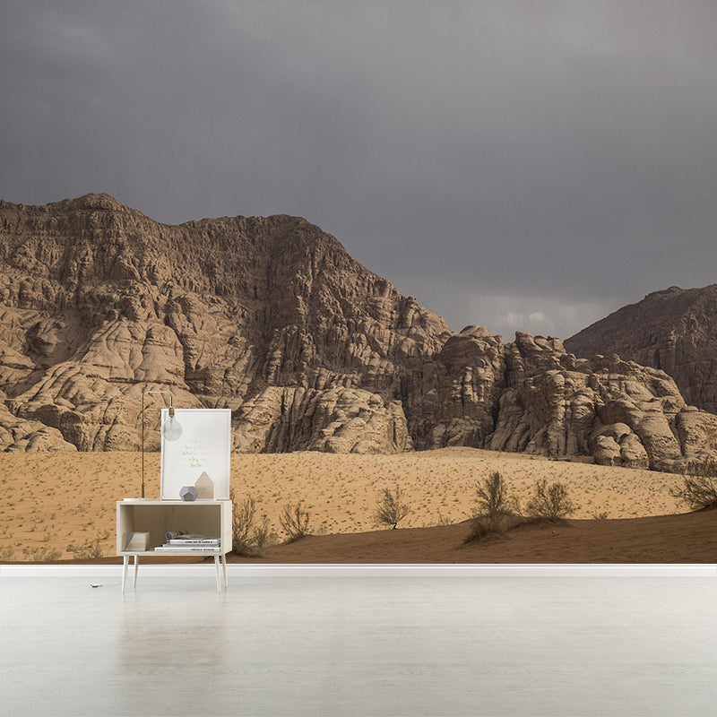 Customized Desert Wall Mural Contemporary Photography for Kitchen Living Room