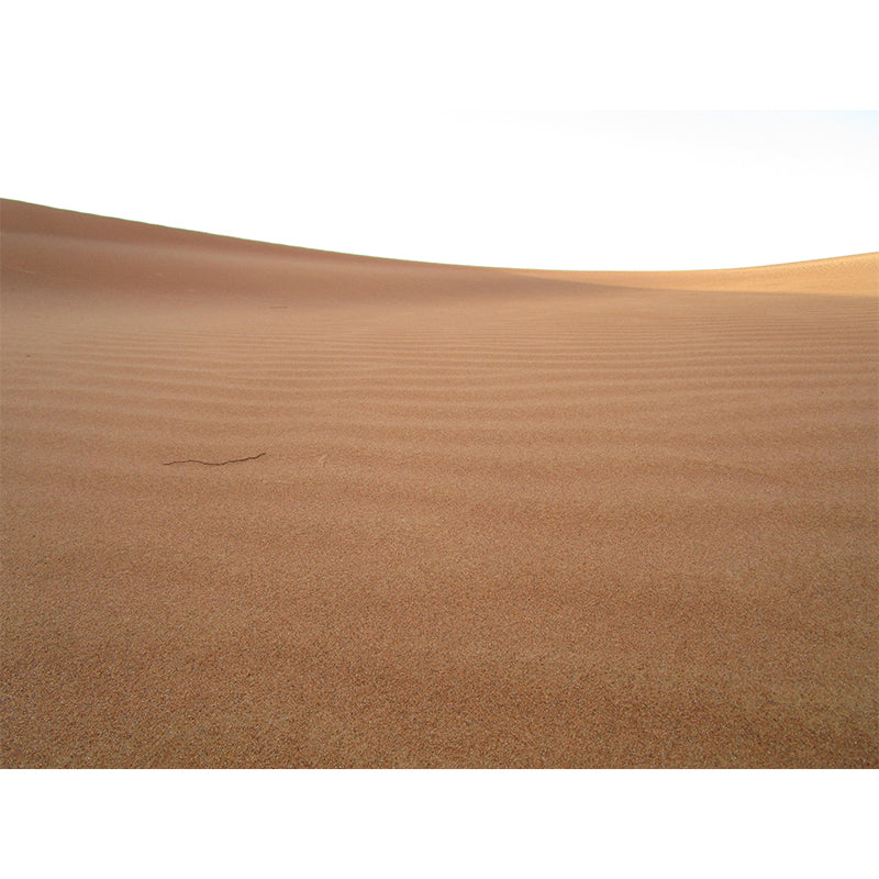 Huge Desert Mural Wallpaper Photography Style for Dining Room Decor