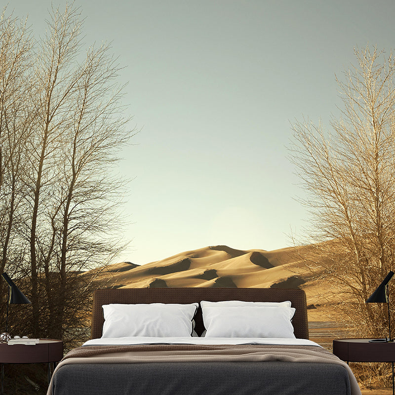 Huge Desert Mural Wallpaper Photography Style for Dining Room Decor