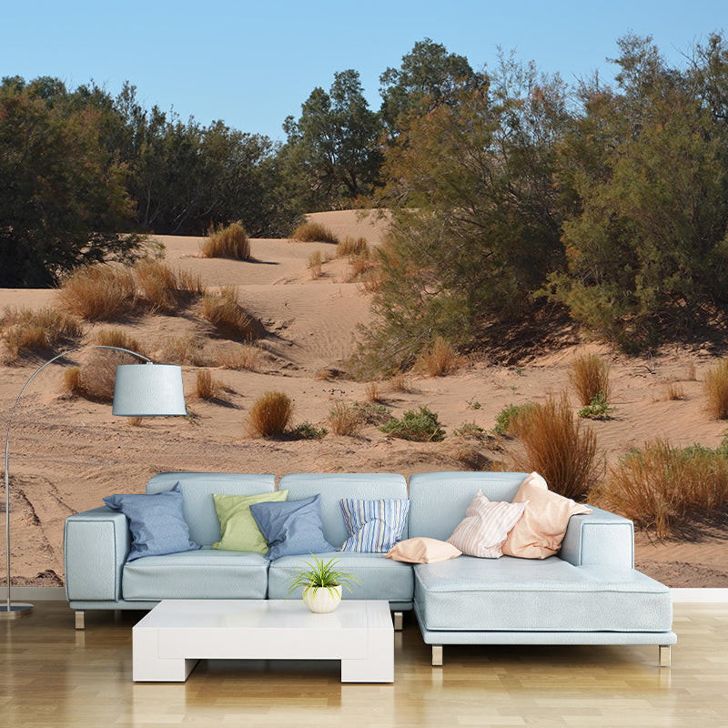 Desert Mural Wallpaper Horizontal Photography Style for Guest Room Decor