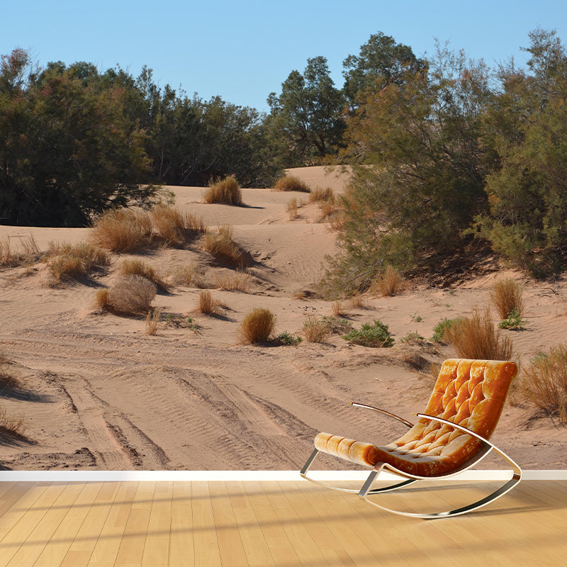 Desert Mural Wallpaper Horizontal Photography Style for Guest Room Decor