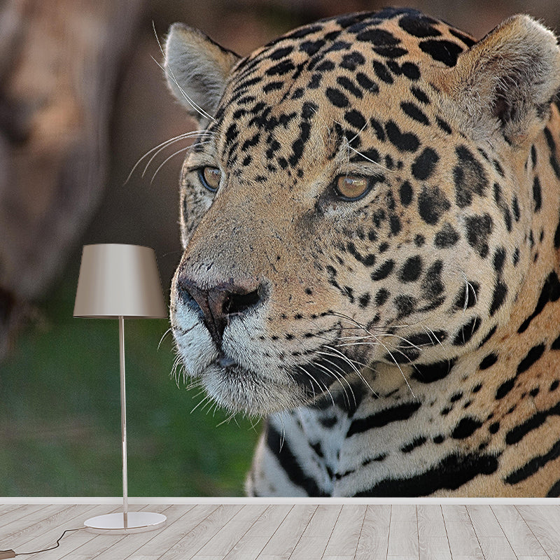 Customized Leopard Wall Mural Contemporary Photography for Bedroom Living Room