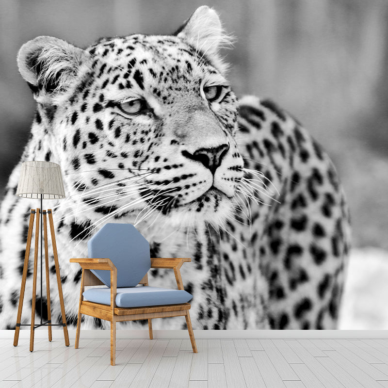 Customized Leopard Wall Mural Contemporary Photography for Bedroom Living Room