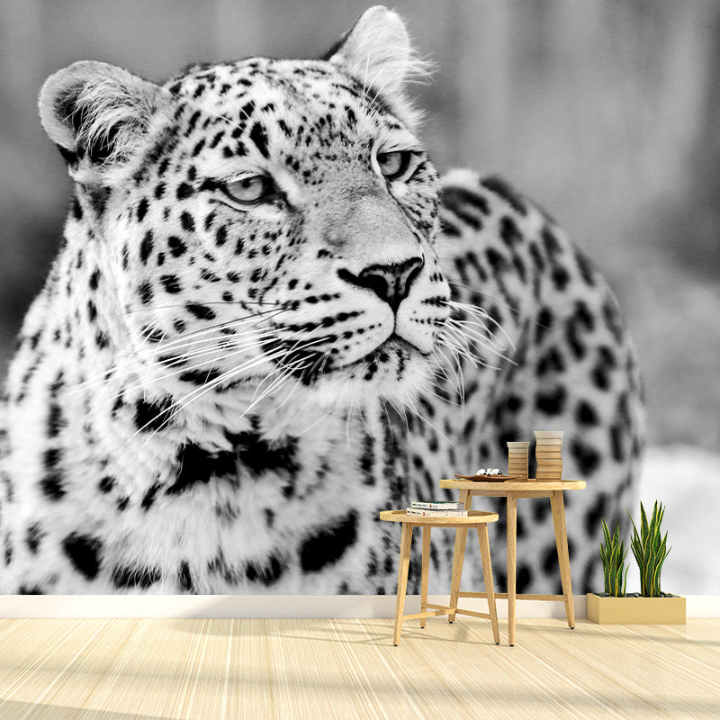 Customized Leopard Wall Mural Contemporary Photography for Bedroom Living Room