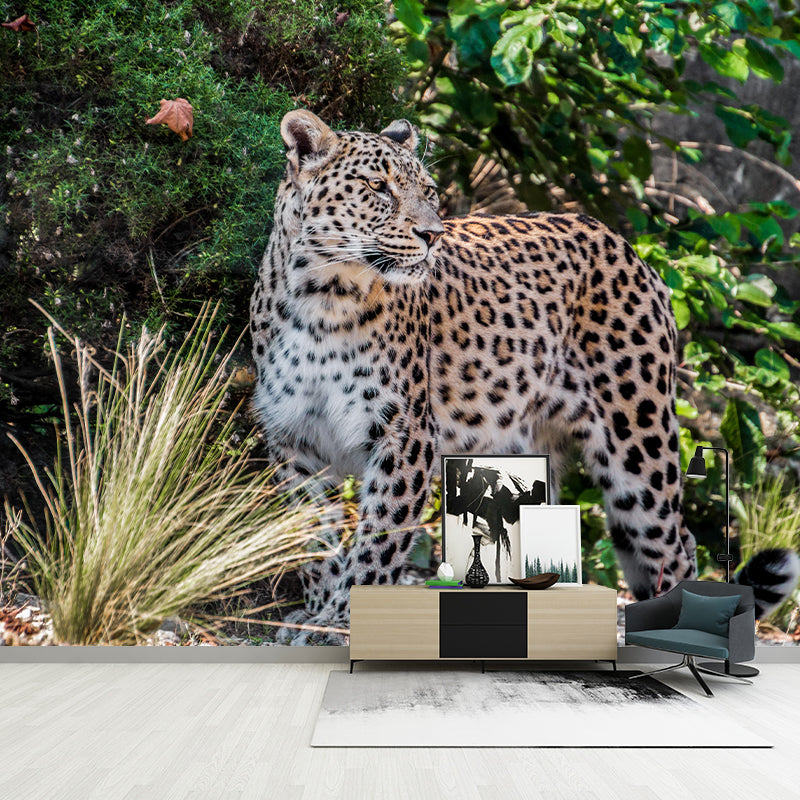 Customized Leopard Wall Mural Contemporary Photography for Bedroom Living Room