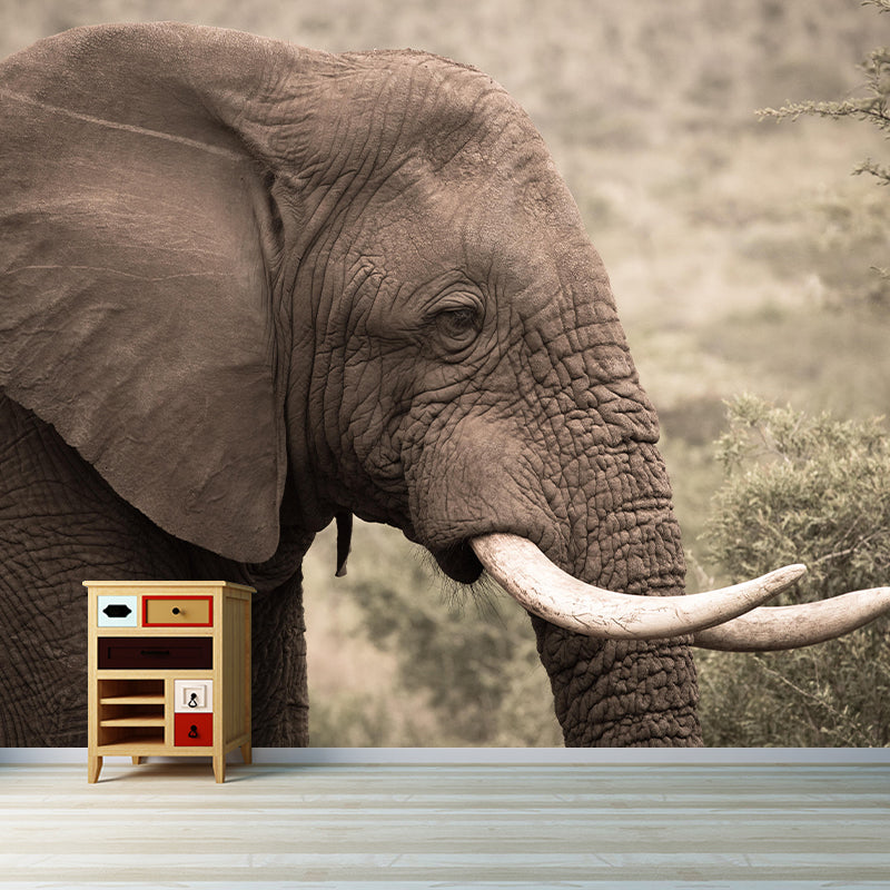 Customized Elephant Wall Mural Contemporary Photography for Bedroom Living Room