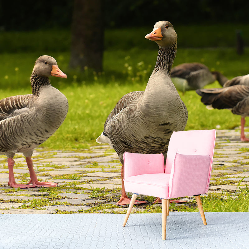 Customized Goose Wall Mural Contemporary Photography for Bedroom Living Room