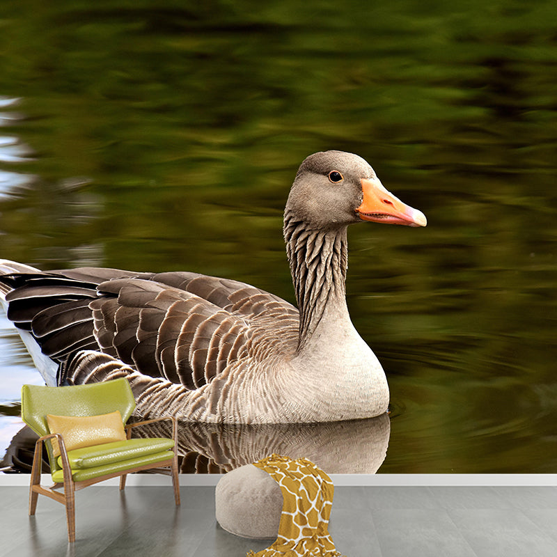 Customized Goose Wall Mural Contemporary Photography for Bedroom Living Room