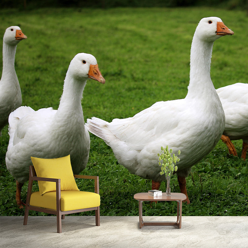 Customized Goose Wall Mural Contemporary Photography for Bedroom Living Room