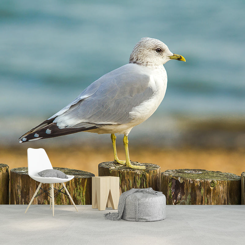 Photography Seagull Mural Wallpaper Environment Friendly for Living Room